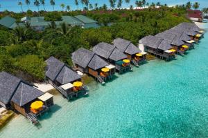 Dhigufaru Island Resort / 迪古法鲁岛