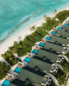 Furaveri Maldives / 富拉维里岛