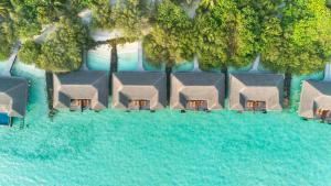 Taj Exotica Resort & Spa, Maldives / 泰姬珍品岛